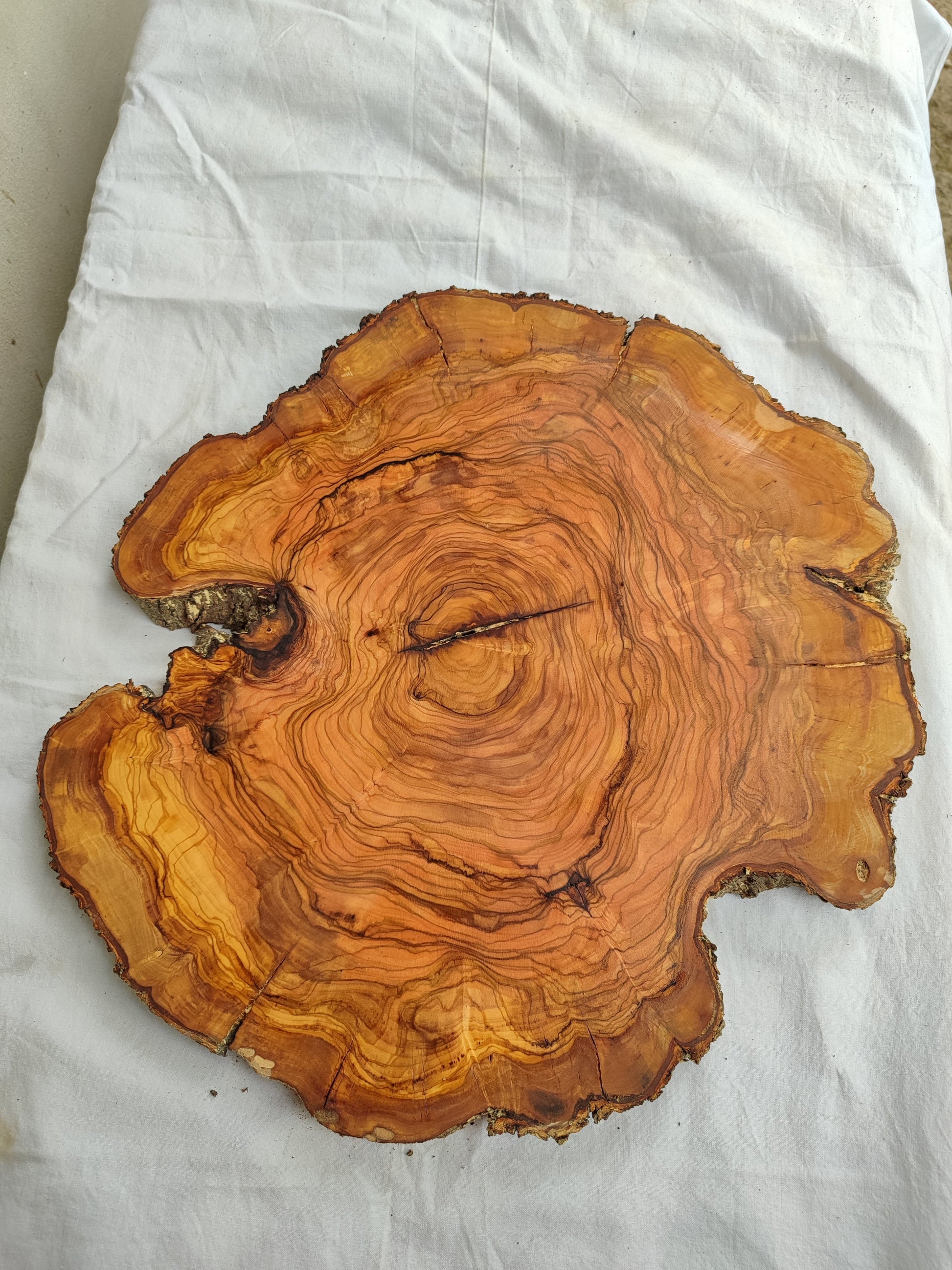 Rare Olive Wood Slab – Live Edge Unique Grain Sustainable Luxury – 40x42x2.5cm Premium Natural Luster - Olive Generic
