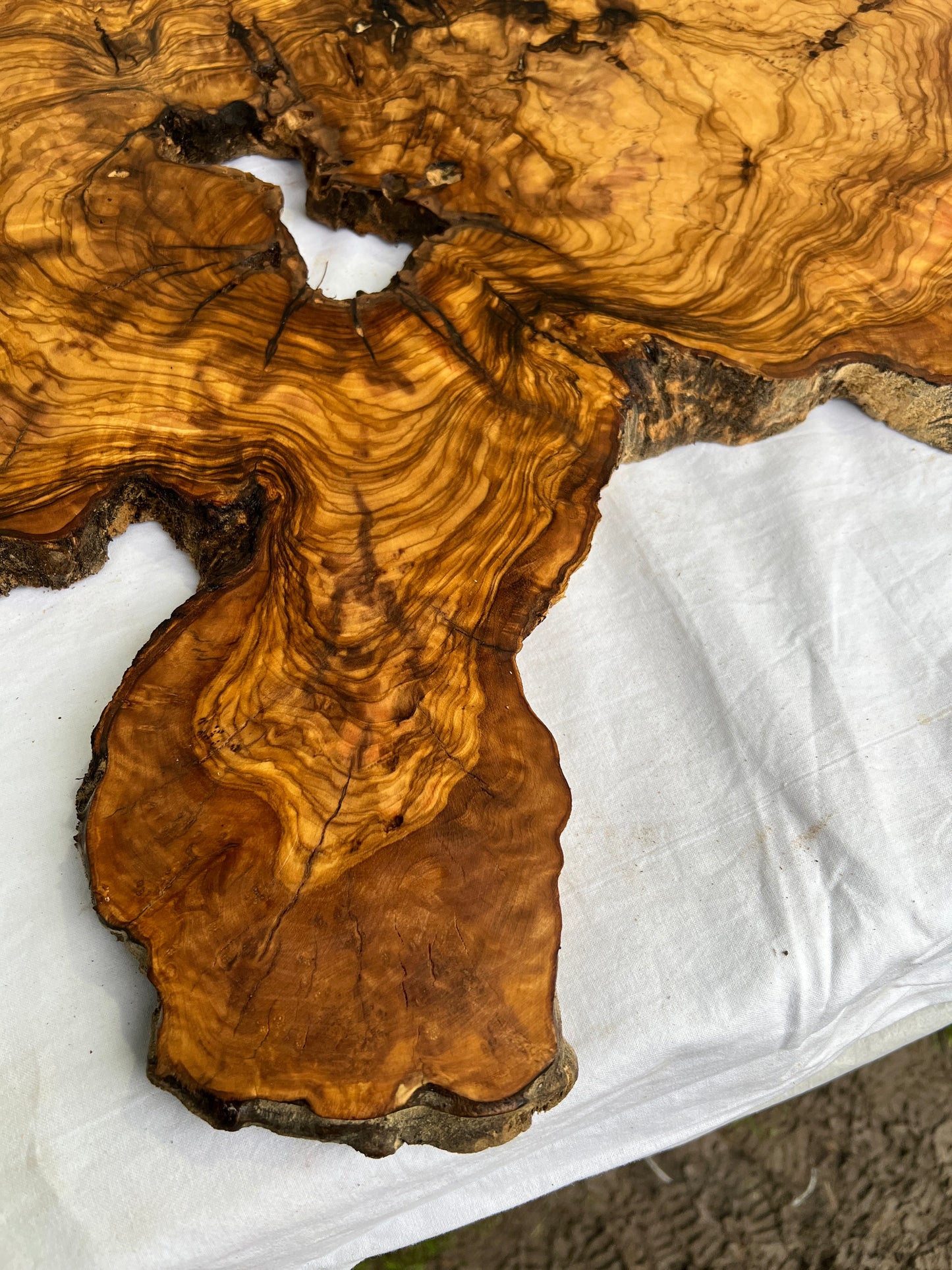 Rare Olive Wood Live Edge Slab 46x66cm - Super Dry Unique Grain for Epoxy Resin Art, Coffee Table & Luthier Craft - Sustainable Luxury.