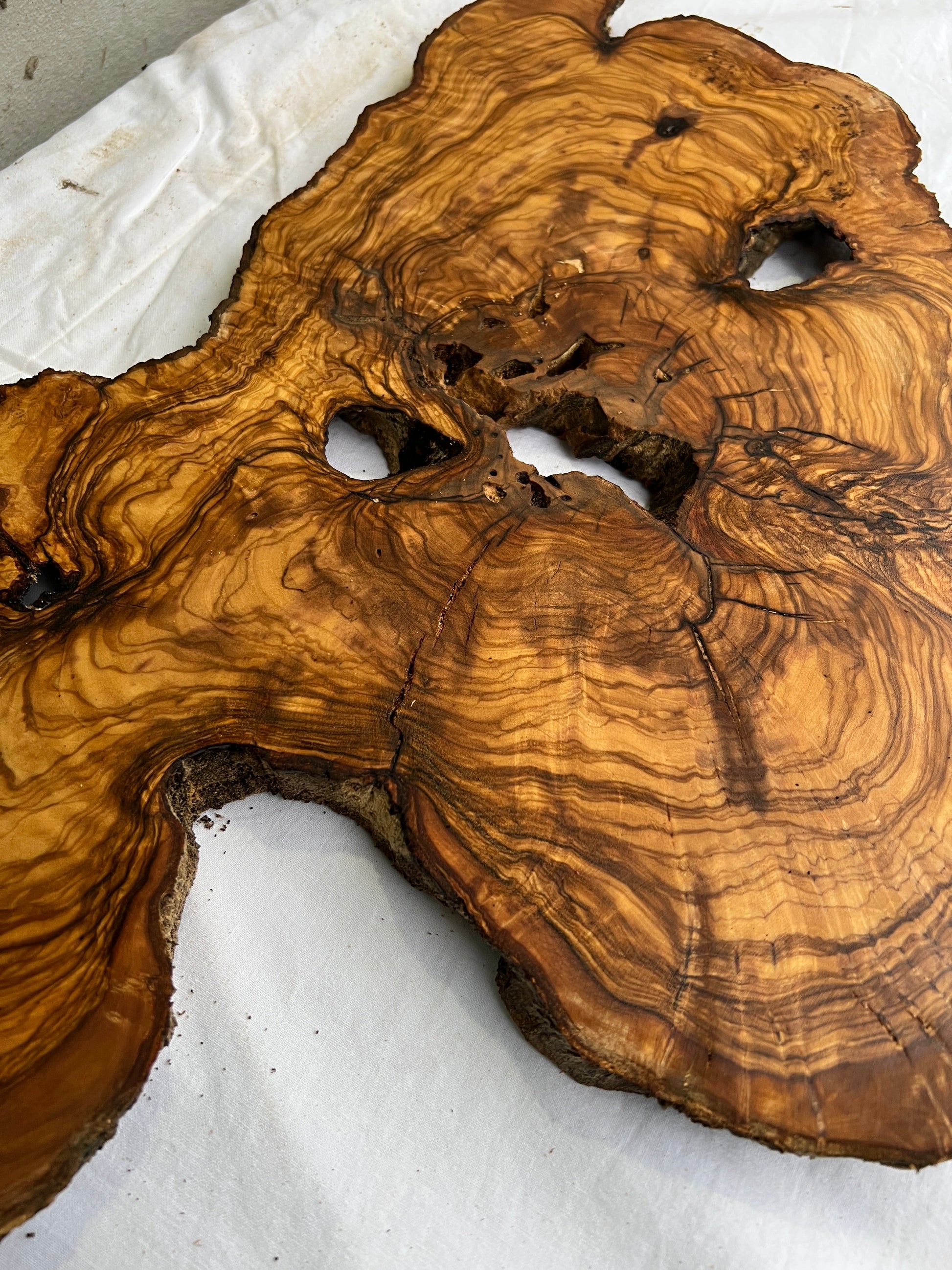 Rare Olive Wood Slab Live Edge 37x60cm | Unique Grain for Epoxy Resin & Coffee Table | Premium Luthier Wood | Sustainable Luxury Art.