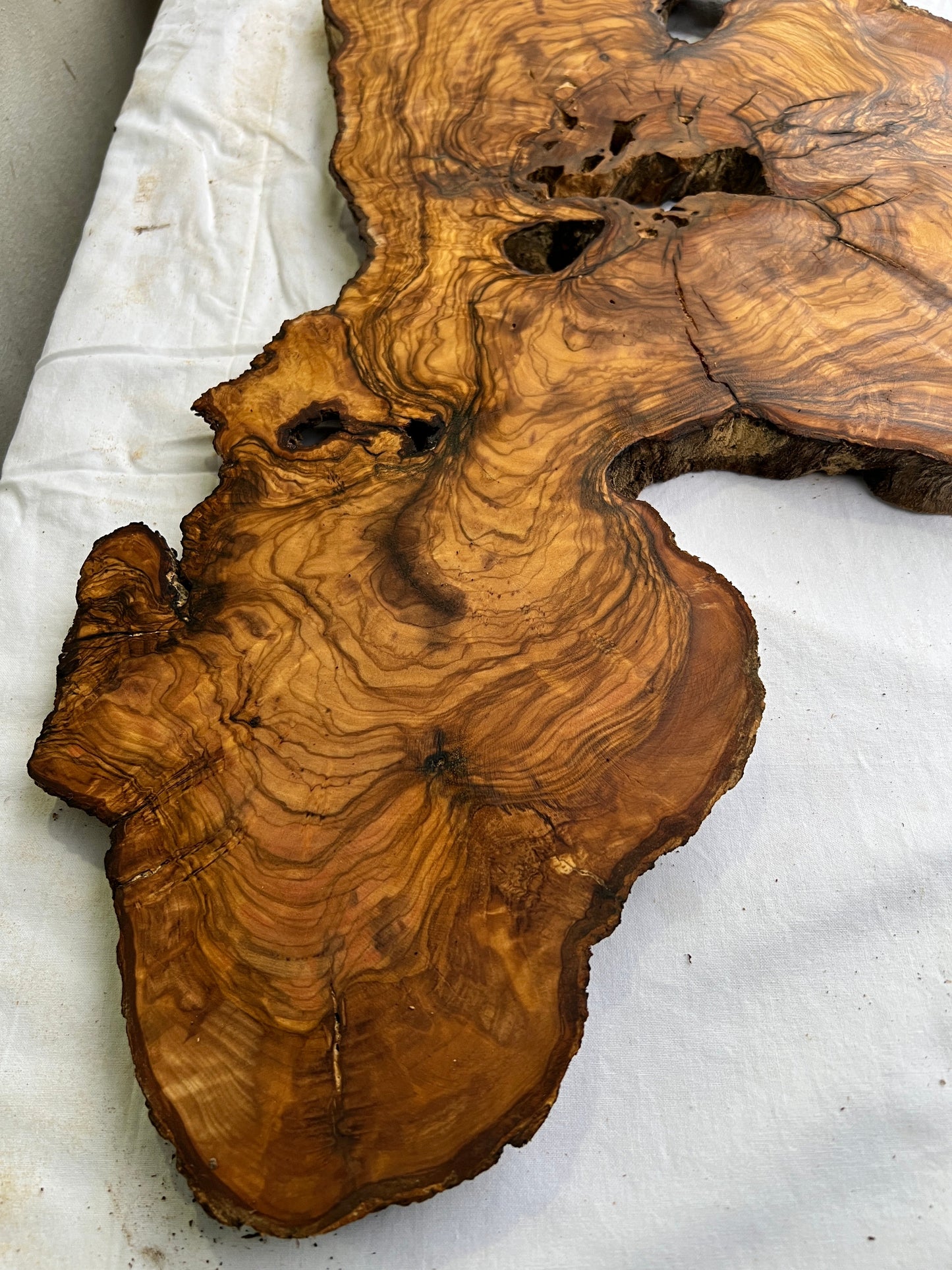 Rare Olive Wood Slab Live Edge 37x60cm | Unique Grain for Epoxy Resin & Coffee Table | Premium Luthier Wood | Sustainable Luxury Art.