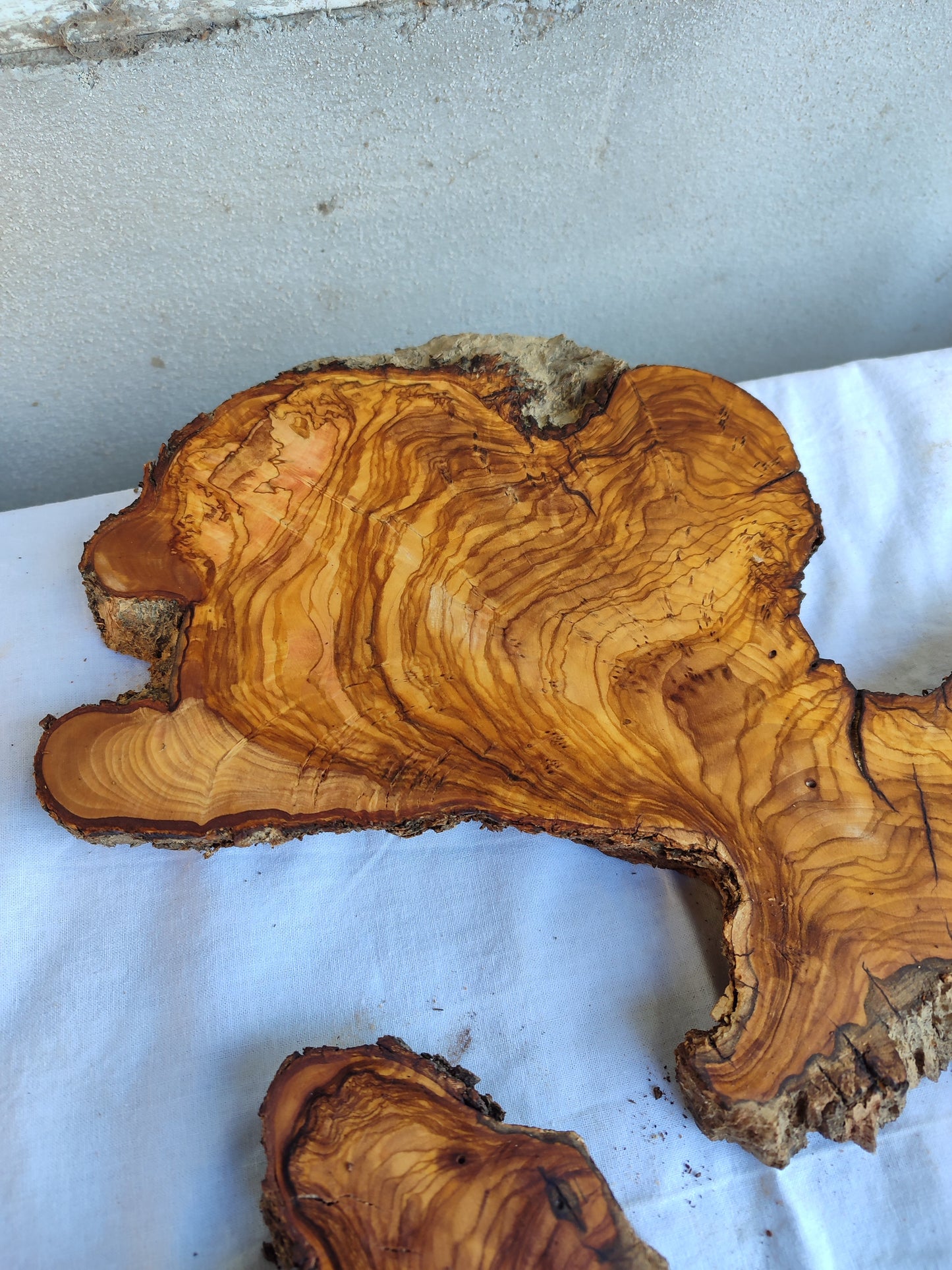 Rare Olive Wood Slab Set 2pcs 53x53cm - Super Dry 3% Moisture - Live Edge for Epoxy Resin, Guitar Body & Luxury Decor - Unique Grain.