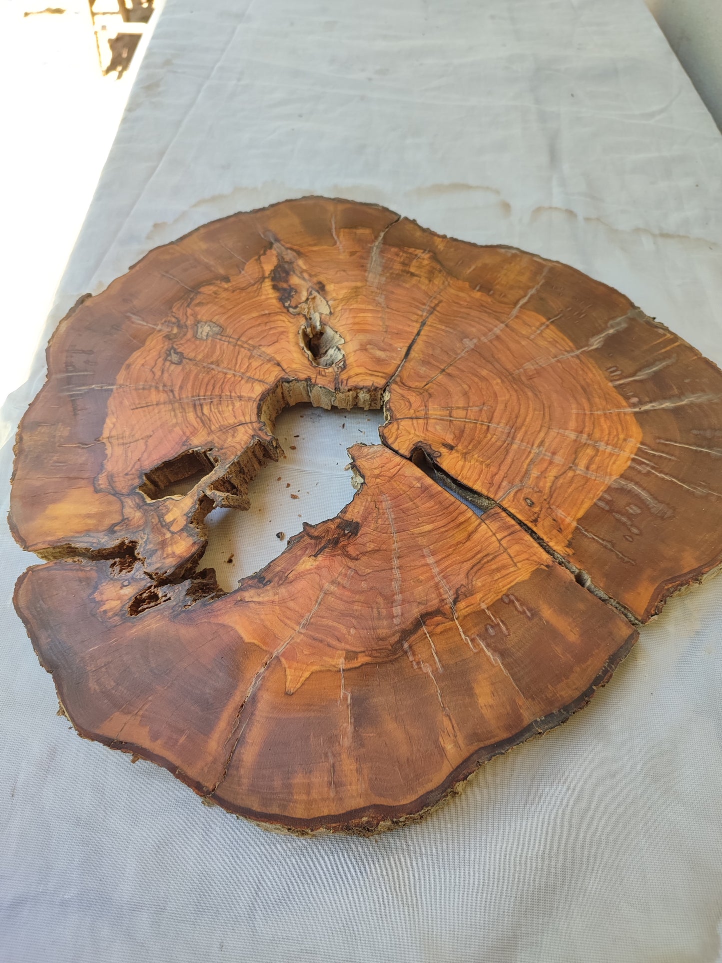 Rare Olive Wood Live Edge Slab – Unique Grain, Premium Natural Luster, 36x38x2.5 cm – Sustainable Luxury for Epoxy & Artisan Crafts