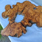 Rare Ancient Olive Wood Slab 43x53cm Live Edge Lumber for Epoxy Resin.