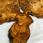 Rare Live Edge Olive Wood Slab (44x64cm) - Super Dry Epoxy Resin Lumber for Coffee Table, Clock & Guitar Body - Unique Natural Grain Art.