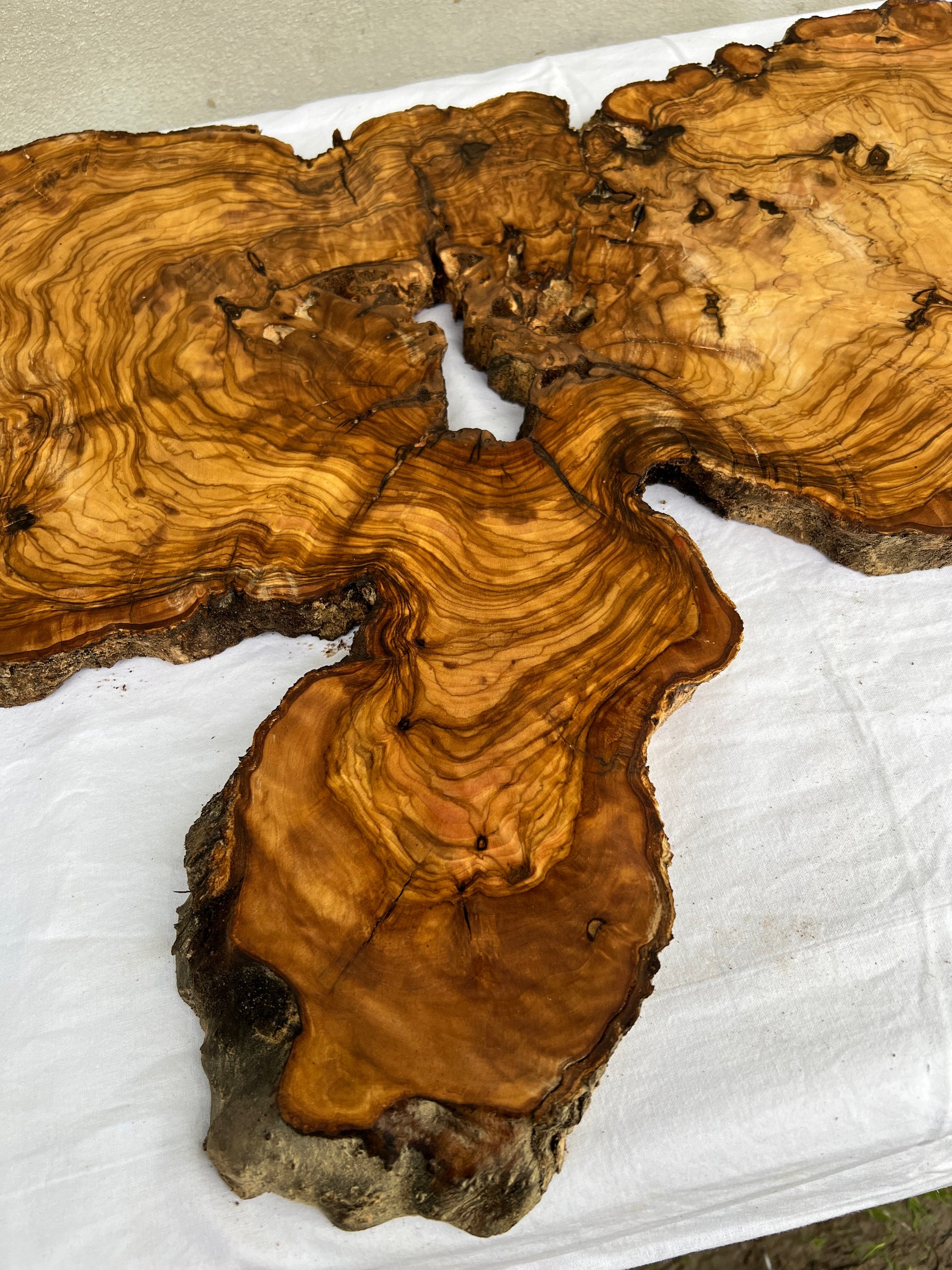 Rare Live Edge Olive Wood Slab (44x64cm) - Super Dry Epoxy Resin Lumber for Coffee Table, Clock & Guitar Body - Unique Natural Grain Art.