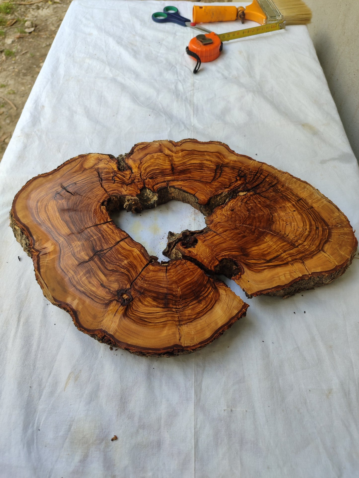 Rare Olive Wood Slab – Live Edge Unique Grain Sustainable Luxury – 29x39x3 cm Epoxy Friendly - Olive Generic