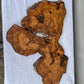 Rare Live Edge Olive Wood Slab 38x61cm - Premium Dry Luthier Lumber for Epoxy Resin Art, Coffee Tables & Unique Guitar Bodies.