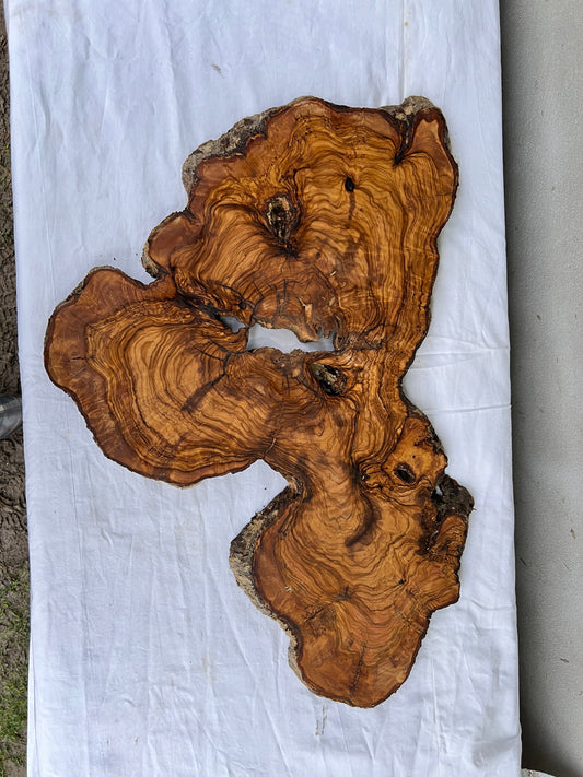 Rare Live Edge Olive Wood Slab 38x61cm - Premium Dry Luthier Lumber for Epoxy Resin Art, Coffee Tables & Unique Guitar Bodies.