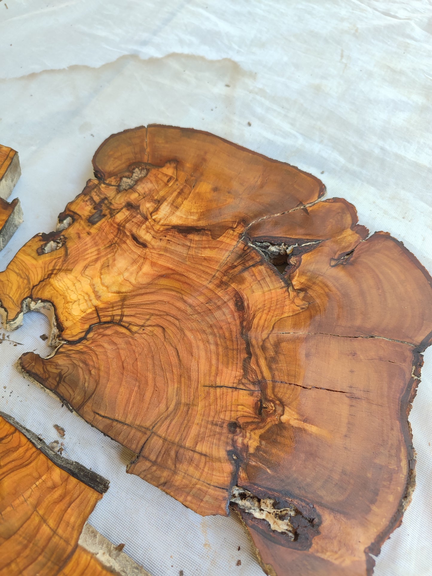 Rare Olive Wood Live Edge Slab – 37x40x2.5 cm, Unique Grain, Sustainable Luxury for Epoxy & Furniture