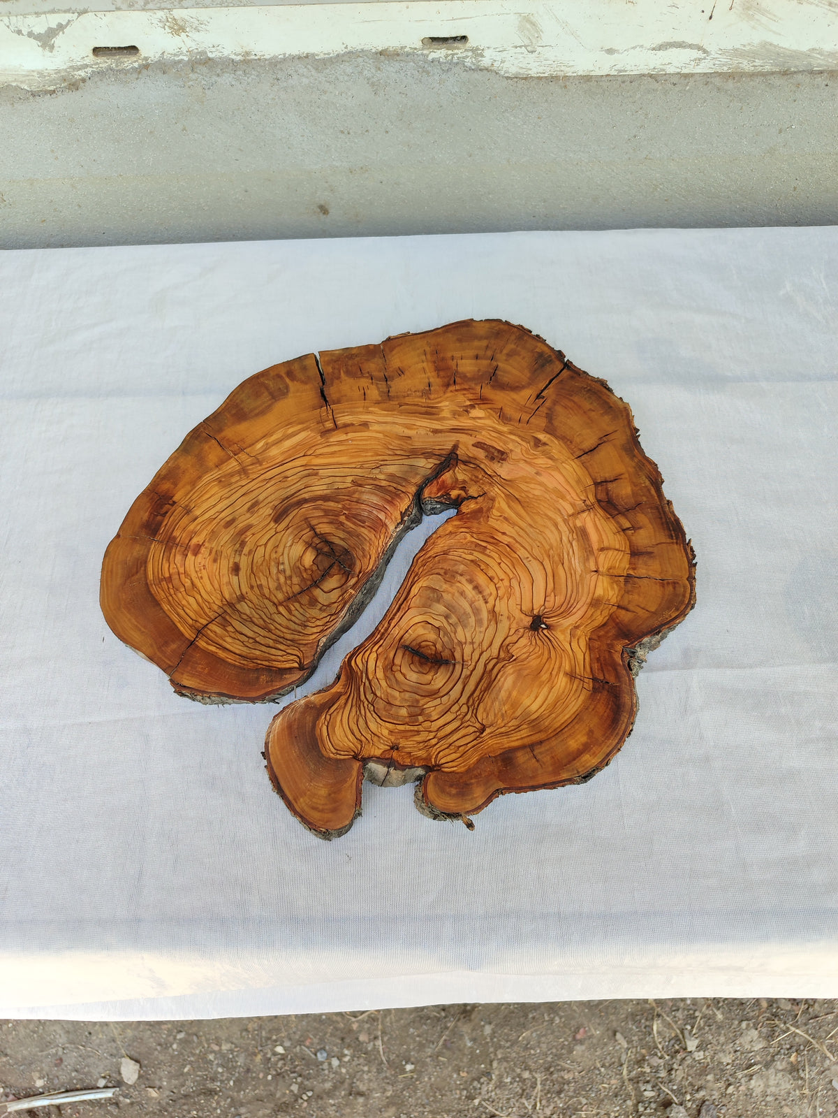 Olive Wood Slab Live Edge Raw 32x33cm Epoxy Resin Handmade