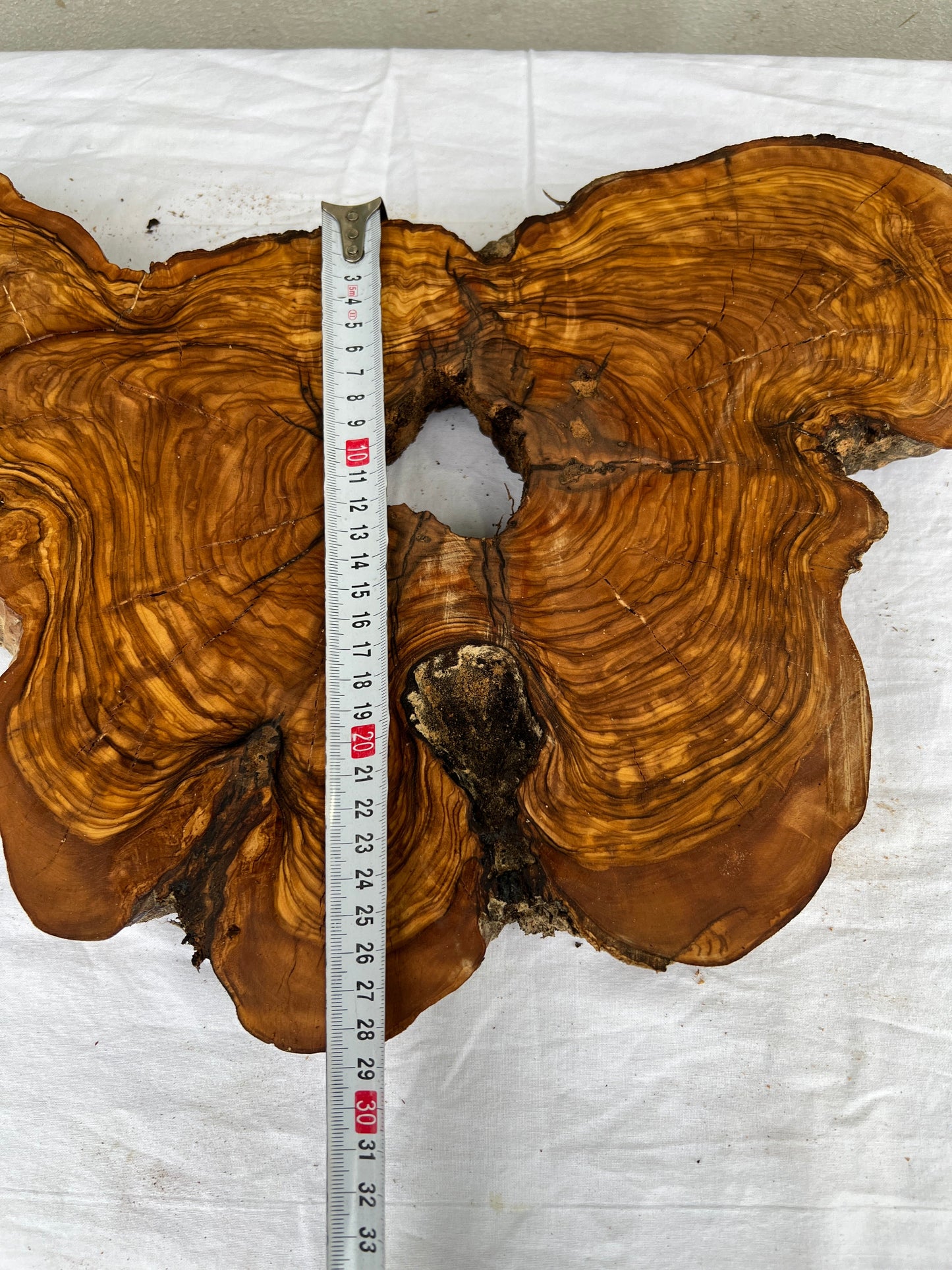 Rare Olive Wood Slab 28x52cm | Dry Live Edge Burl for Resin Art, Clock & Luthier | Unique Grain Sustainable Luxury Woodworking Material.
