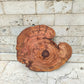 Rare Live Edge Olive Wood Slab - Premium 100% Natural - Unique Grain - Sustainable Luxury - 32x38x2.49 cm