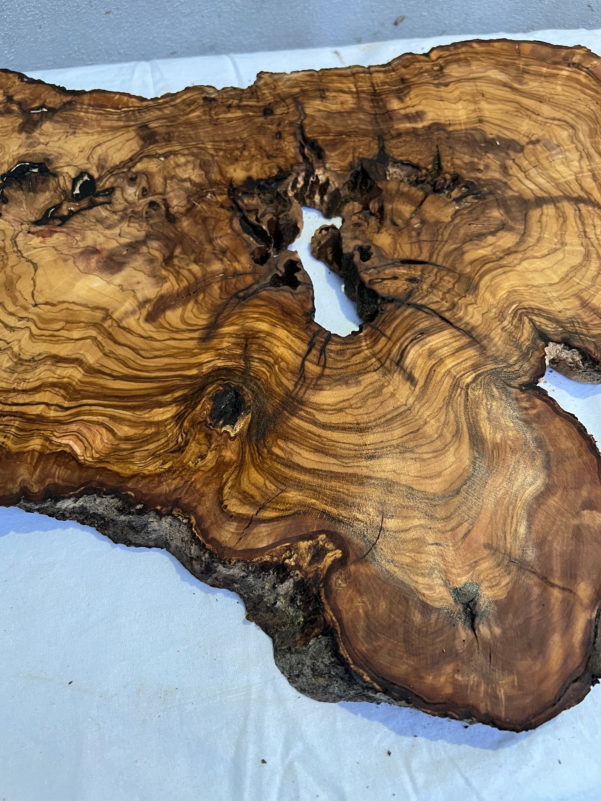 Rare Live Edge Olive Wood Slab 41x65cm | Unique Grain for Epoxy Resin, Luthier & Luxury Decor | Sustainable Premium DIY Material.