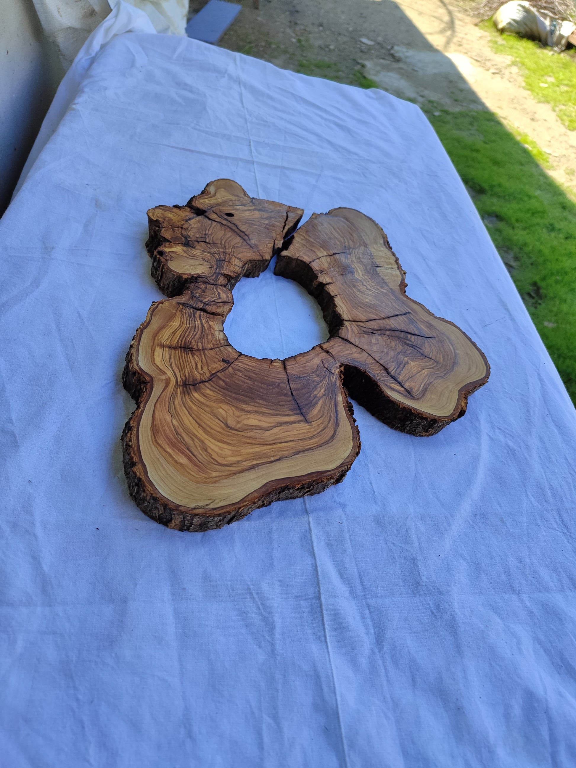 Rare Olive Wood Slab 28x39cm - Ultra Dry Live Edge Burl for Epoxy Resin & Luxury Crafts | Unique Grain Luthier Material