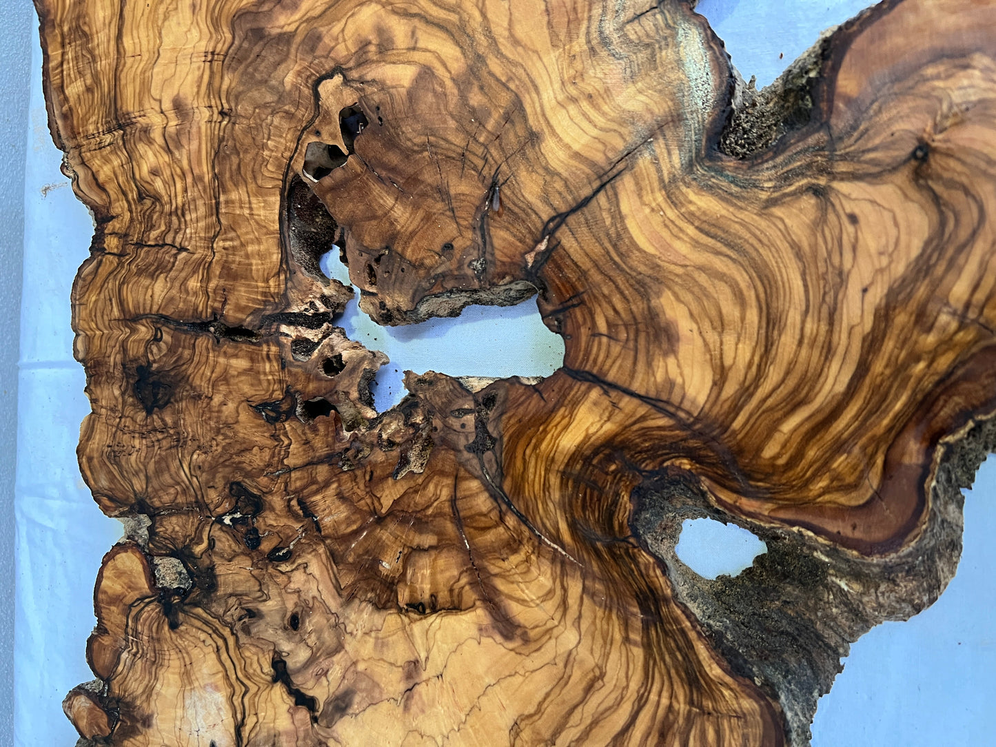 Rare Olive Wood Slab 42x65cm | Live Edge for Epoxy Resin & Wall Art | Unique Grain Sustainable Luxury | Super Dry DIY Craft Wood.