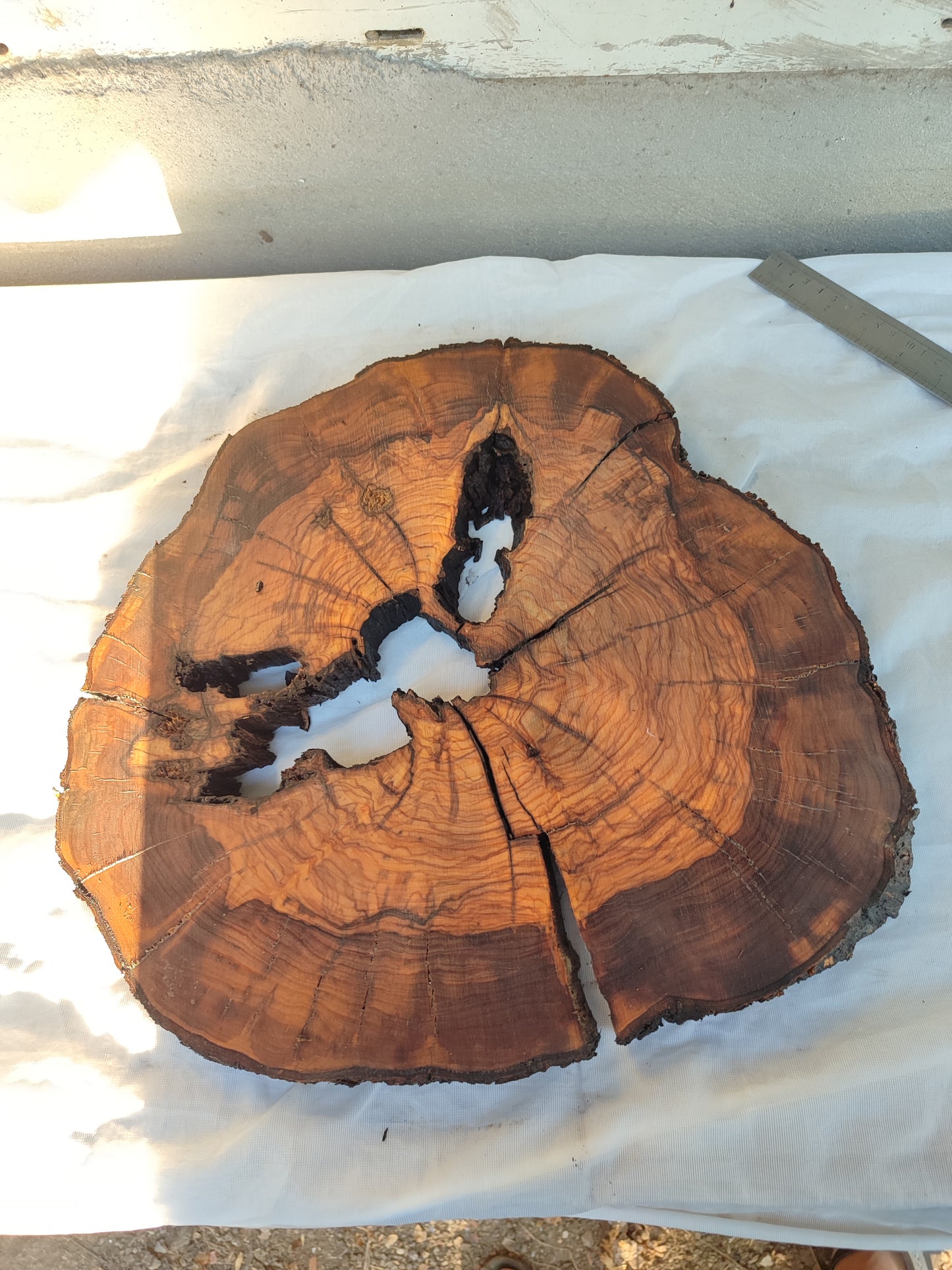 Rare Olive Wood Slab – Live Edge, Unique Grain, Sustainable Luxury for Epoxy & Artisan Crafts (37x37x2.5 cm)