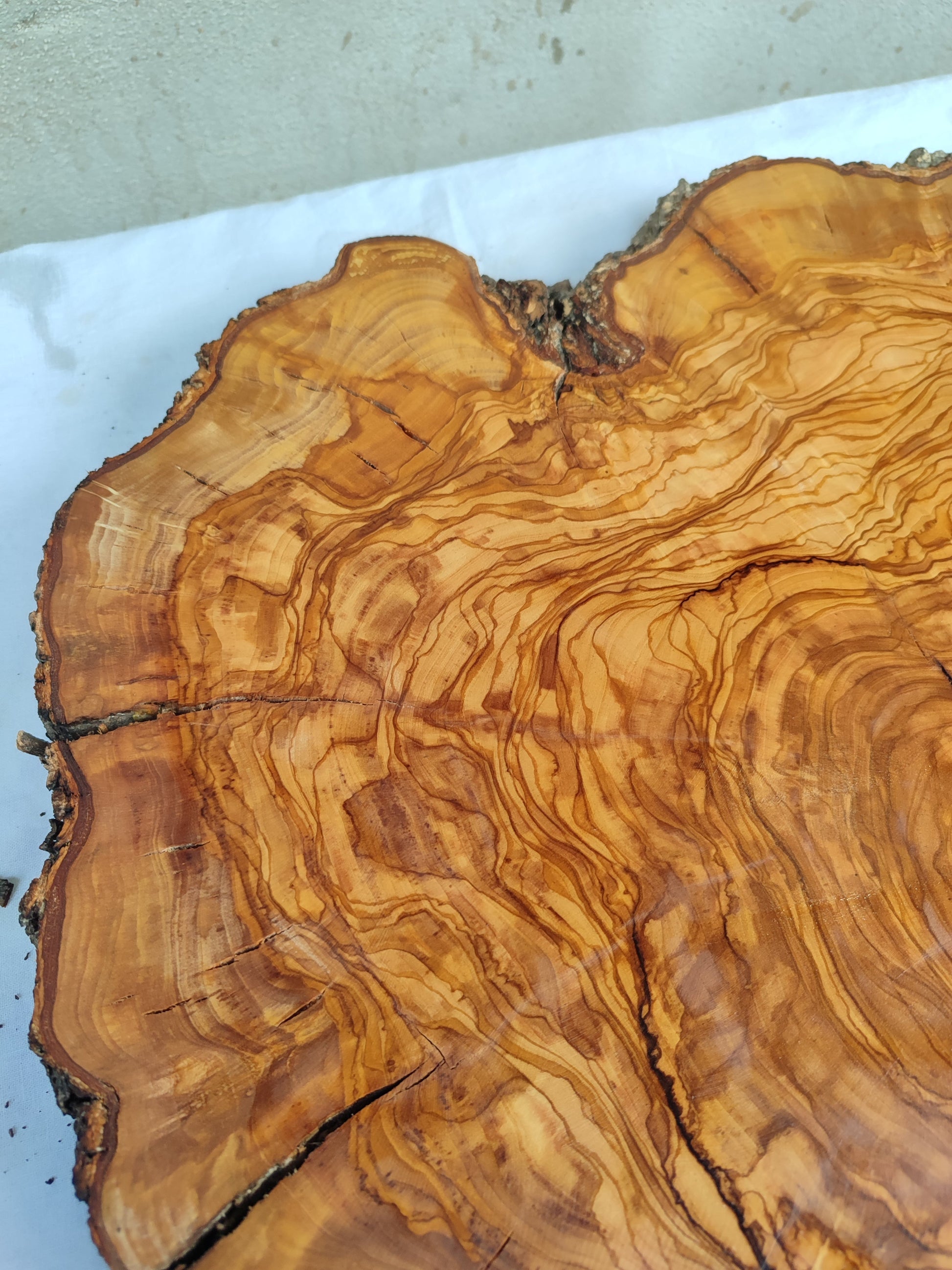 Rare Olive Wood Live Edge Slab – 40x44x3 cm Unique Grain Sustainable Luxury for Epoxy Table Clock & Crafts - Olive