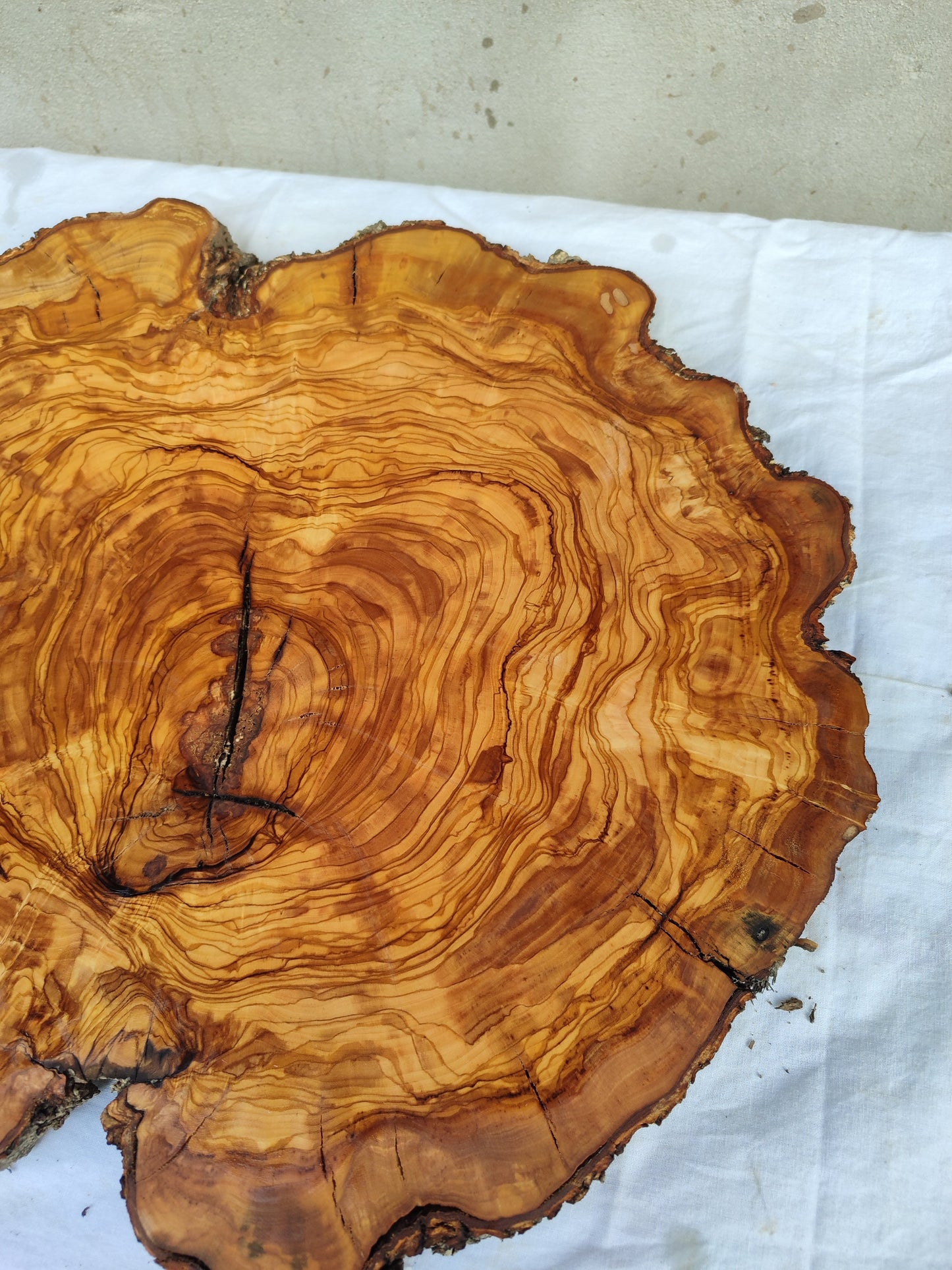 Rare Olive Wood Live Edge Slab – 40x44x3 cm Unique Grain Sustainable Luxury for Epoxy Table Clock & Crafts - Olive