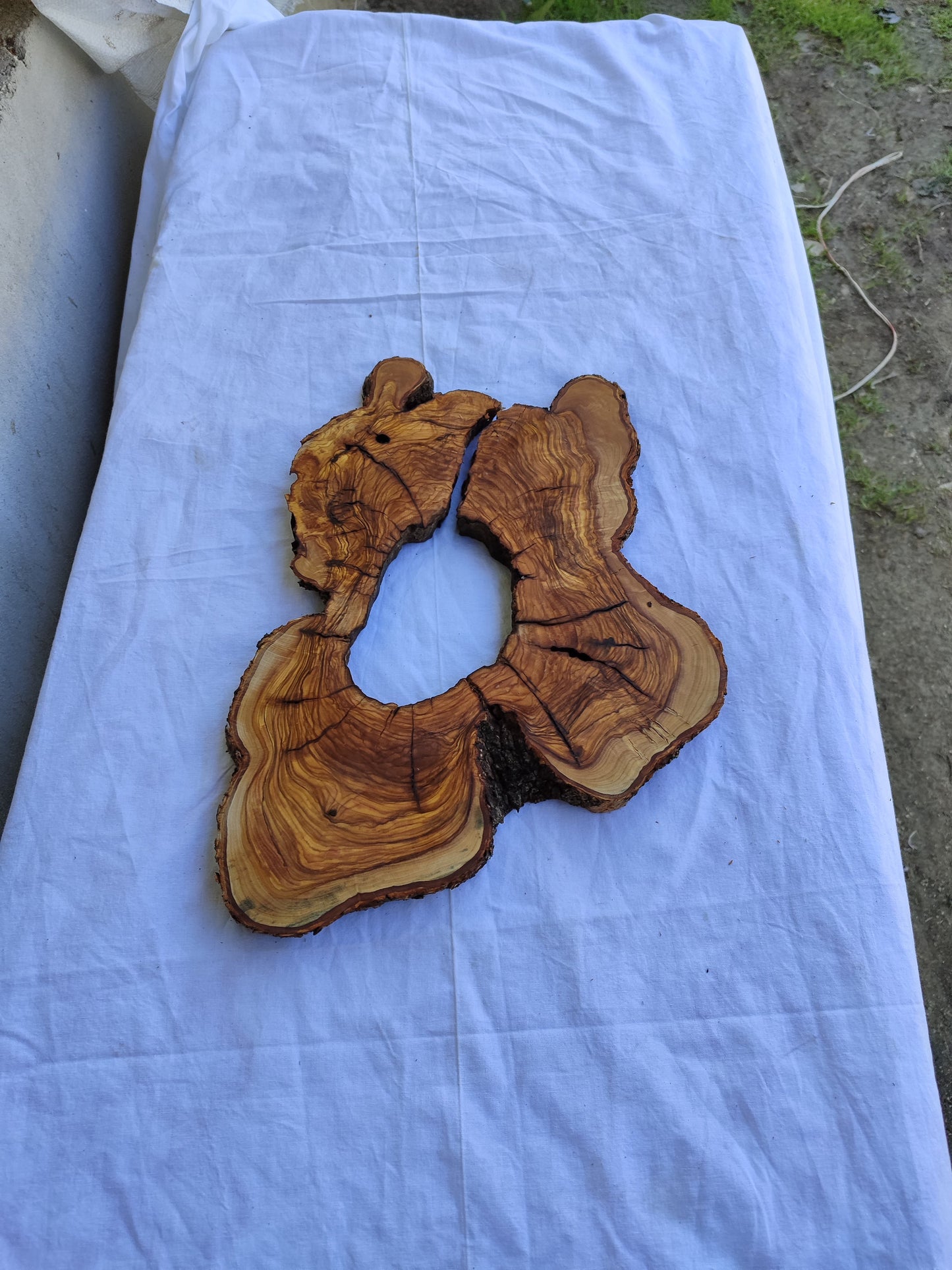 Rare Live Edge Olive Wood Slab 29x40cm | Unique Grain for Epoxy Guitar & Luxury Crafts | Ultra-Dry 3% Moisture Lumber