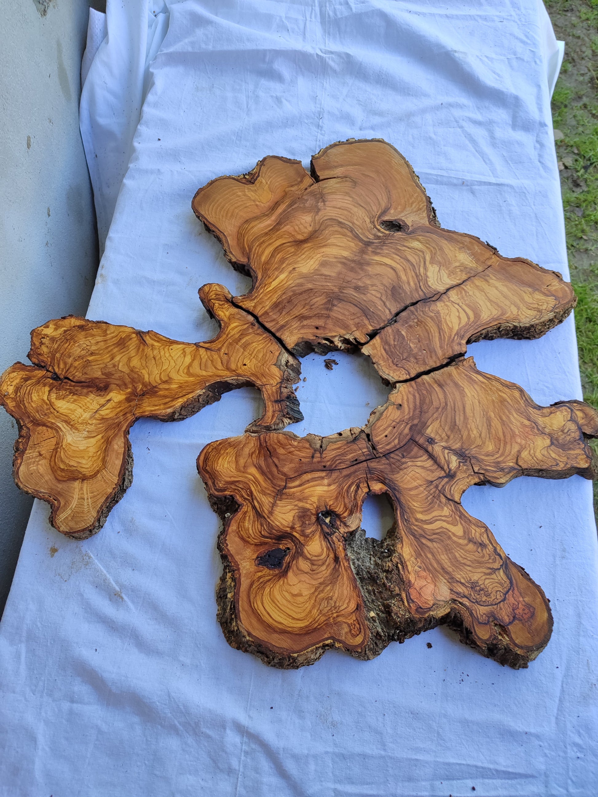 3pcs Rare Live Edge Olive Wood Slab 55x56cm | Super Dry 3% Moisture | Unique Grain for Epoxy Resin, Guitar Body & Luxury Art.
