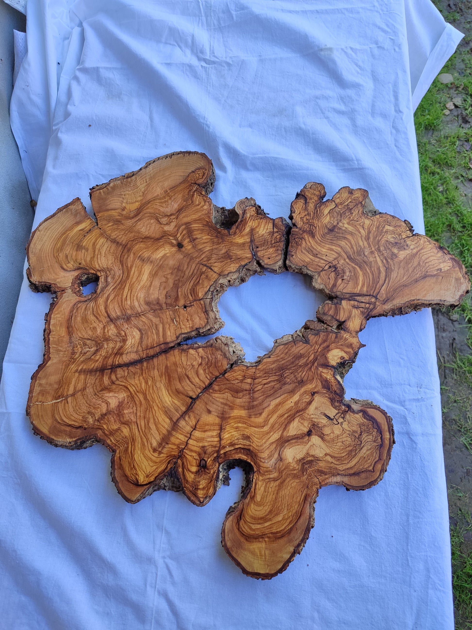Rare Ancient Olive Wood Slab 43x53cm Live Edge Lumber for Epoxy Resin.