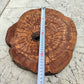 Rare Olive Wood Slab – Live Edge, Unique Grain – Sustainable Luxury for Epoxy, Table & Craft