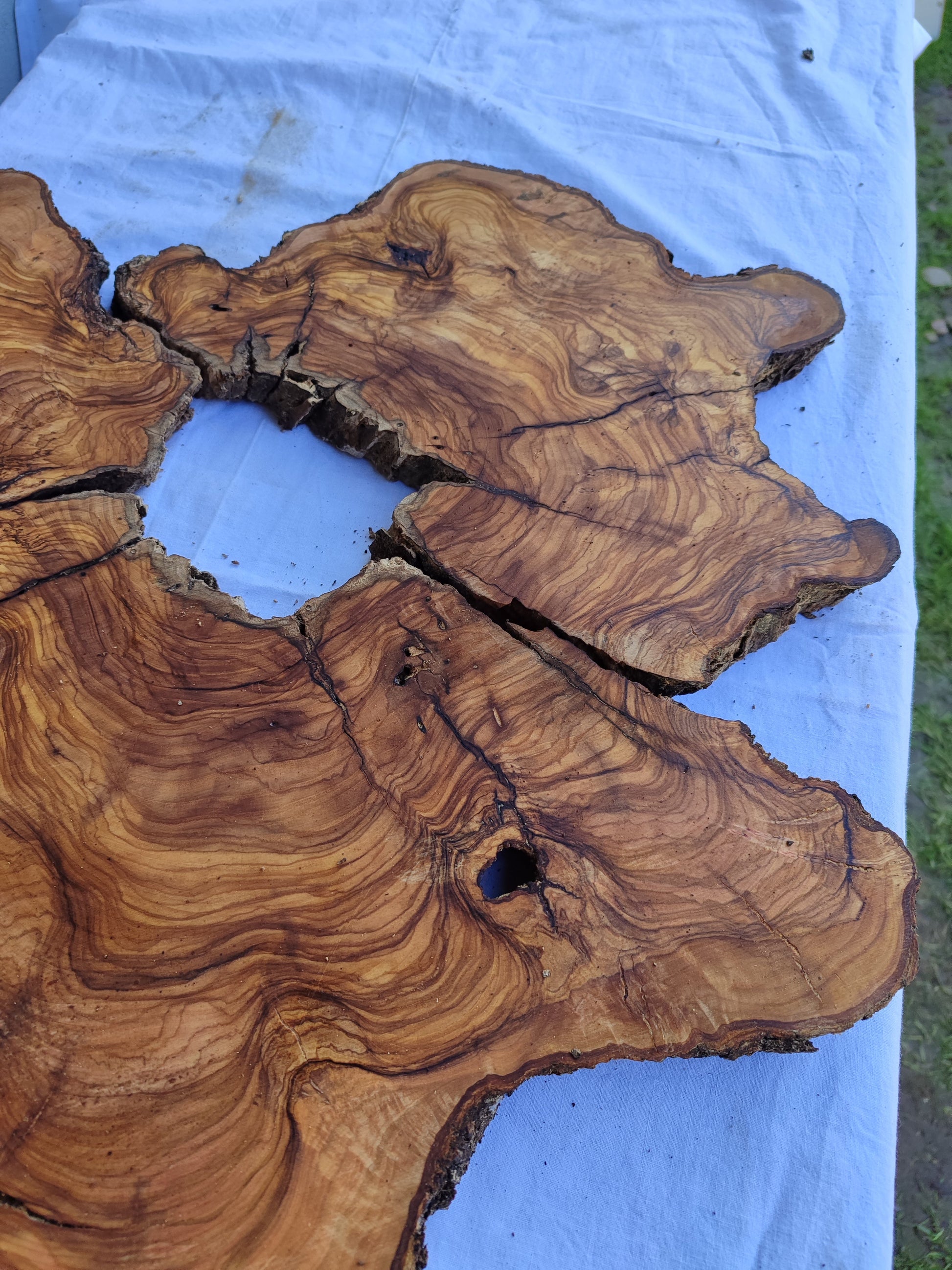 Rare Olive Wood Slab 51x53cm | Premium Live Edge for Epoxy Resin, Clock, Guitar Body | Ultra Dry Sustainable Luxury DIY Lumber.