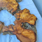Rare Huge Live Edge Olive Wood Burl Slab 48x52cm - Premium Dry Exotic Lumber for Epoxy Resin Art, Guitar Body & Luxury Coffee Table DIY.