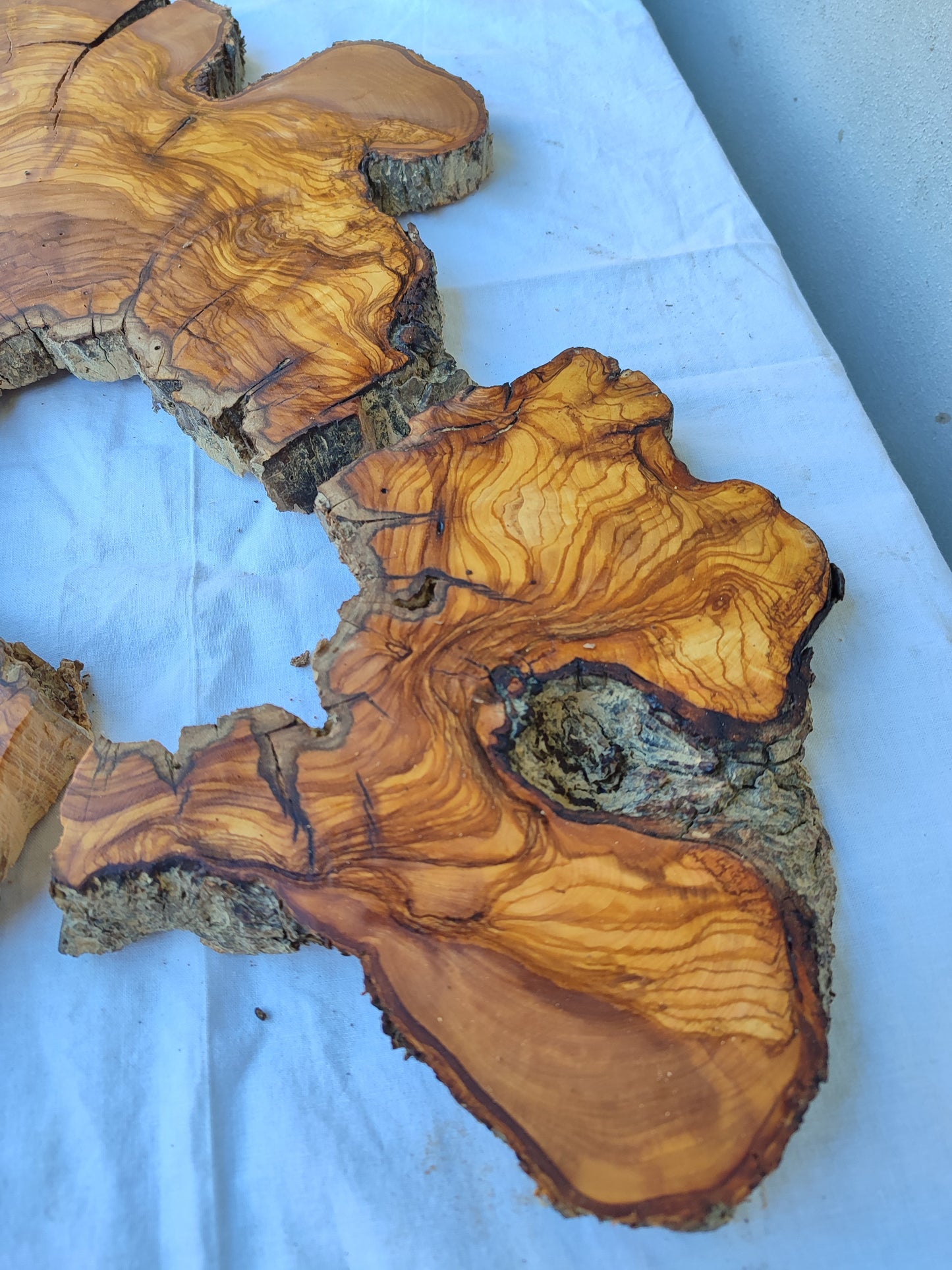 Rare Huge Live Edge Olive Wood Burl Slab 48x52cm - Premium Dry Exotic Lumber for Epoxy Resin Art, Guitar Body & Luxury Coffee Table DIY.