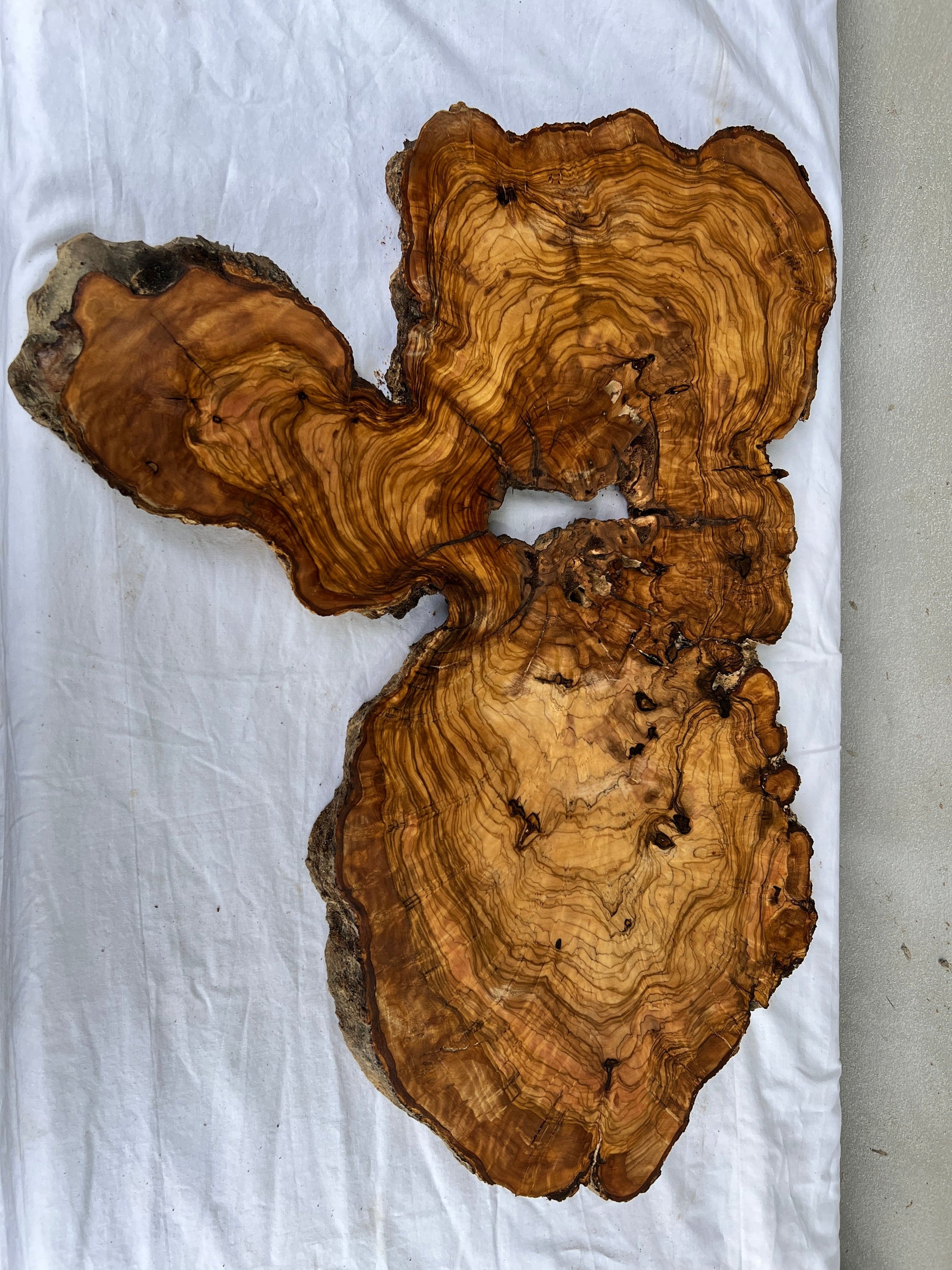 Rare Live Edge Olive Wood Slab (44x64cm) - Super Dry Epoxy Resin Lumber for Coffee Table, Clock & Guitar Body - Unique Natural Grain Art.