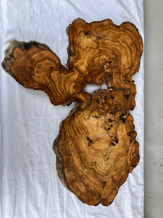 Rare Live Edge Olive Wood Slab (44x64cm) - Super Dry Epoxy Resin Lumber for Coffee Table, Clock & Guitar Body - Unique Natural Grain Art.