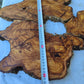 Rare Olive Wood Slab 51x53cm | Premium Live Edge for Epoxy Resin, Clock, Guitar Body | Ultra Dry Sustainable Luxury DIY Lumber.