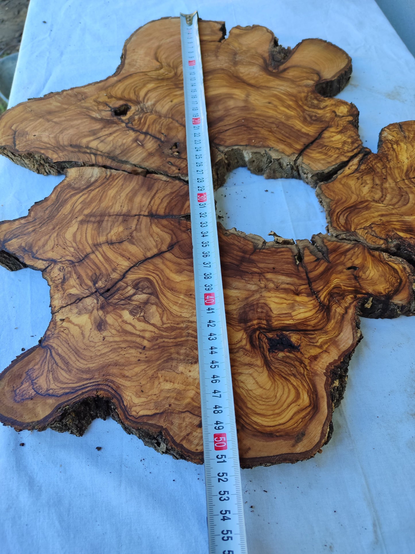 Rare Olive Wood Slab 51x53cm | Premium Live Edge for Epoxy Resin, Clock, Guitar Body | Ultra Dry Sustainable Luxury DIY Lumber.