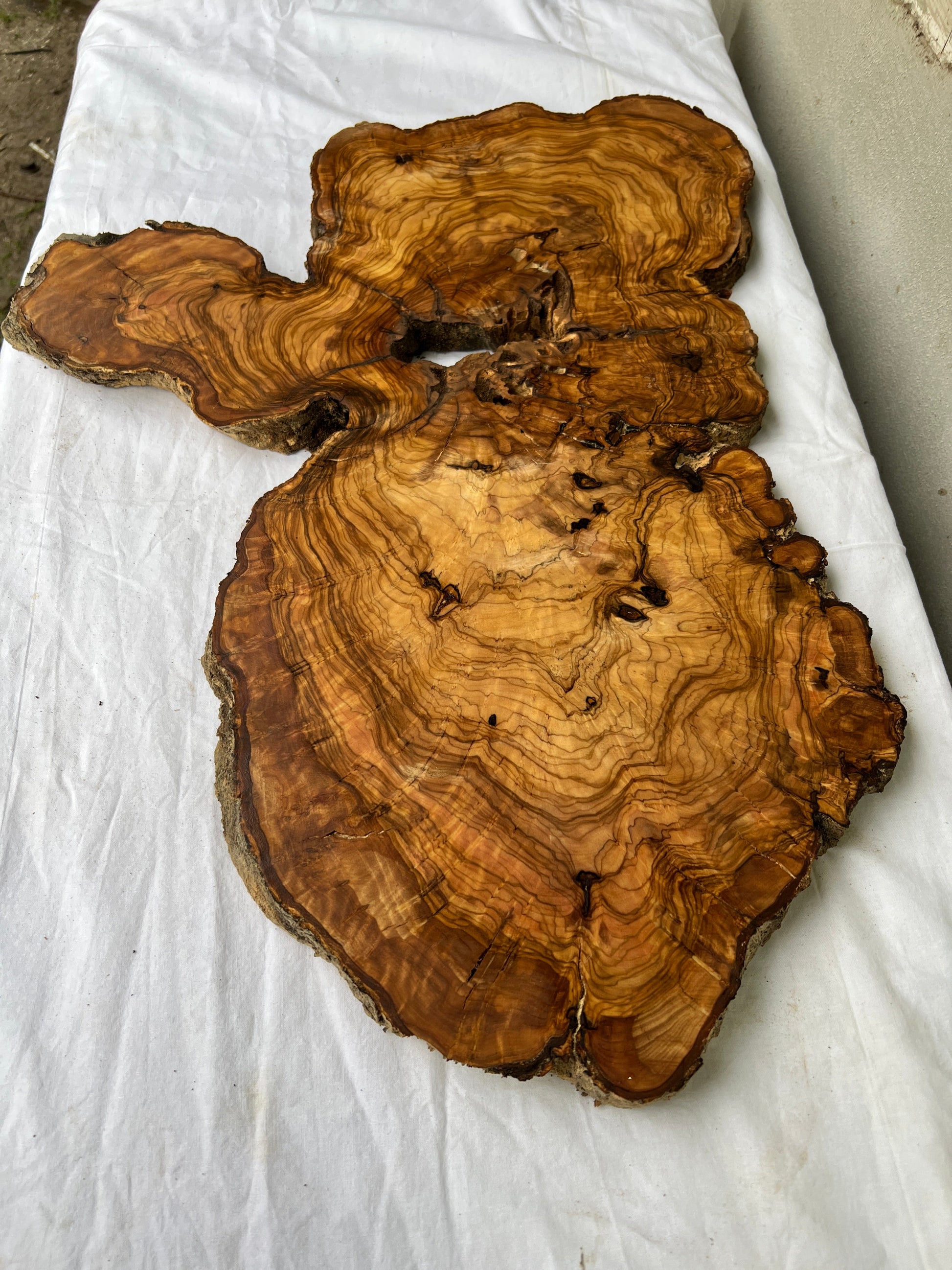Rare Live Edge Olive Wood Slab (44x64cm) - Super Dry Epoxy Resin Lumber for Coffee Table, Clock & Guitar Body - Unique Natural Grain Art.