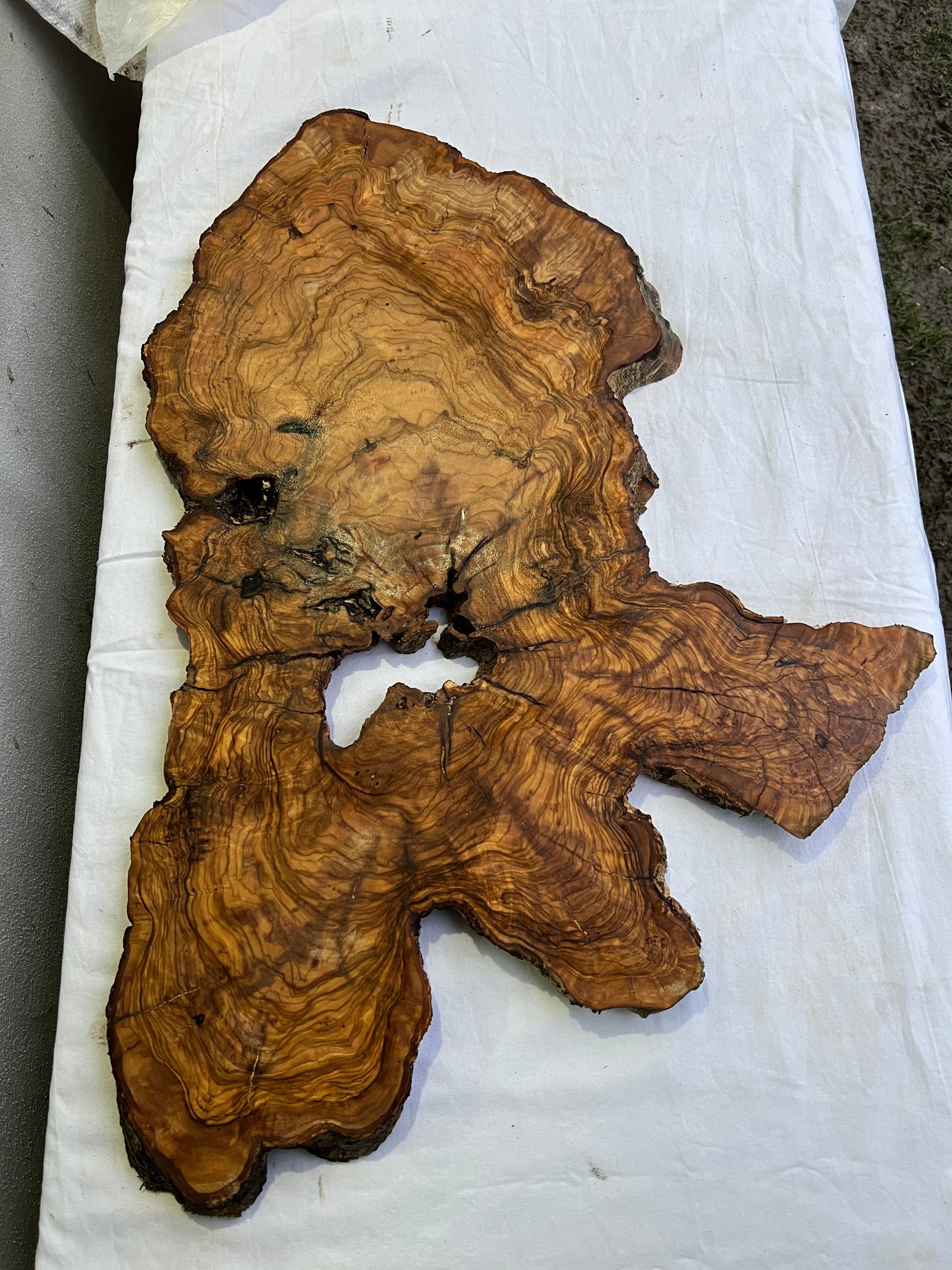 Rare Olive Wood Slab 43x66cm | Live Edge for Epoxy Resin & Coffee Table | Premium Dry Luthier Wood | Unique Grain Sustainable Luxury Art.