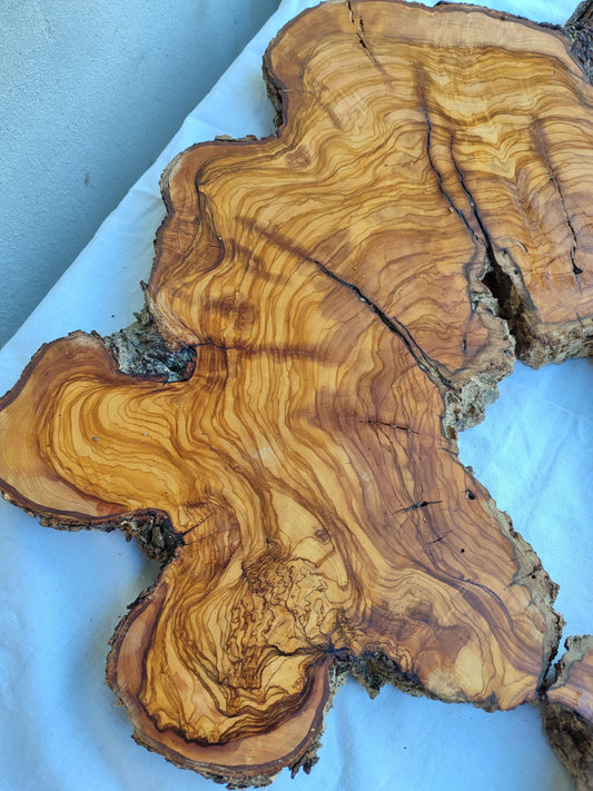 Rare 300+ Year Old Olive Wood Slab 17x20" - Live Edge for Epoxy Resin & Charcuterie - Kiln Dried Sustainable Luxury DIY Art.