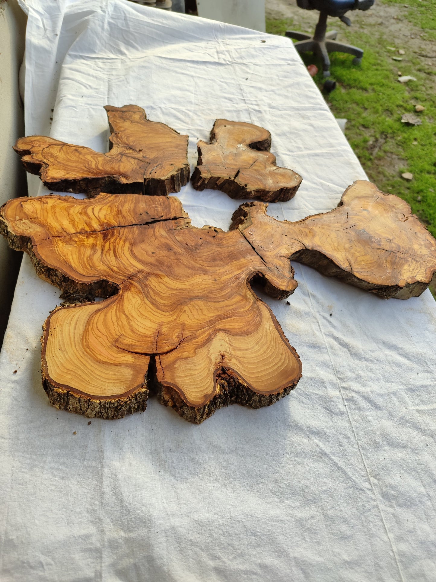 Rare Olive Wood Slab 53x55cm - Live Edge for Epoxy Resin & Coffee Table.