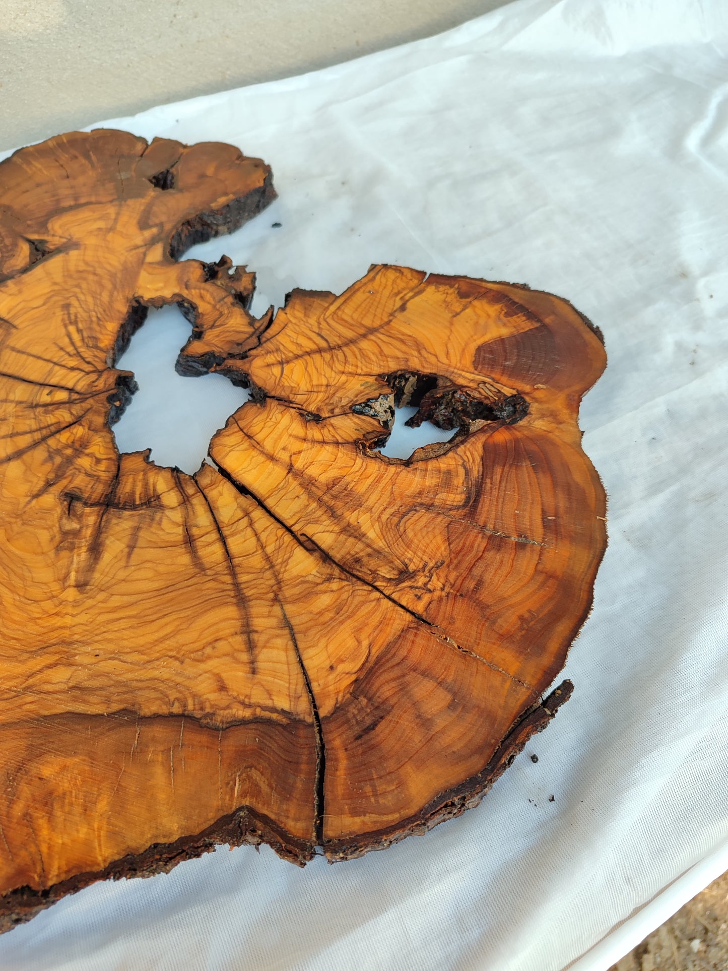 Rare Olive Wood Slab – Live Edge, Unique Grain, Sustainable Luxury – 41x43x2.5 cm
