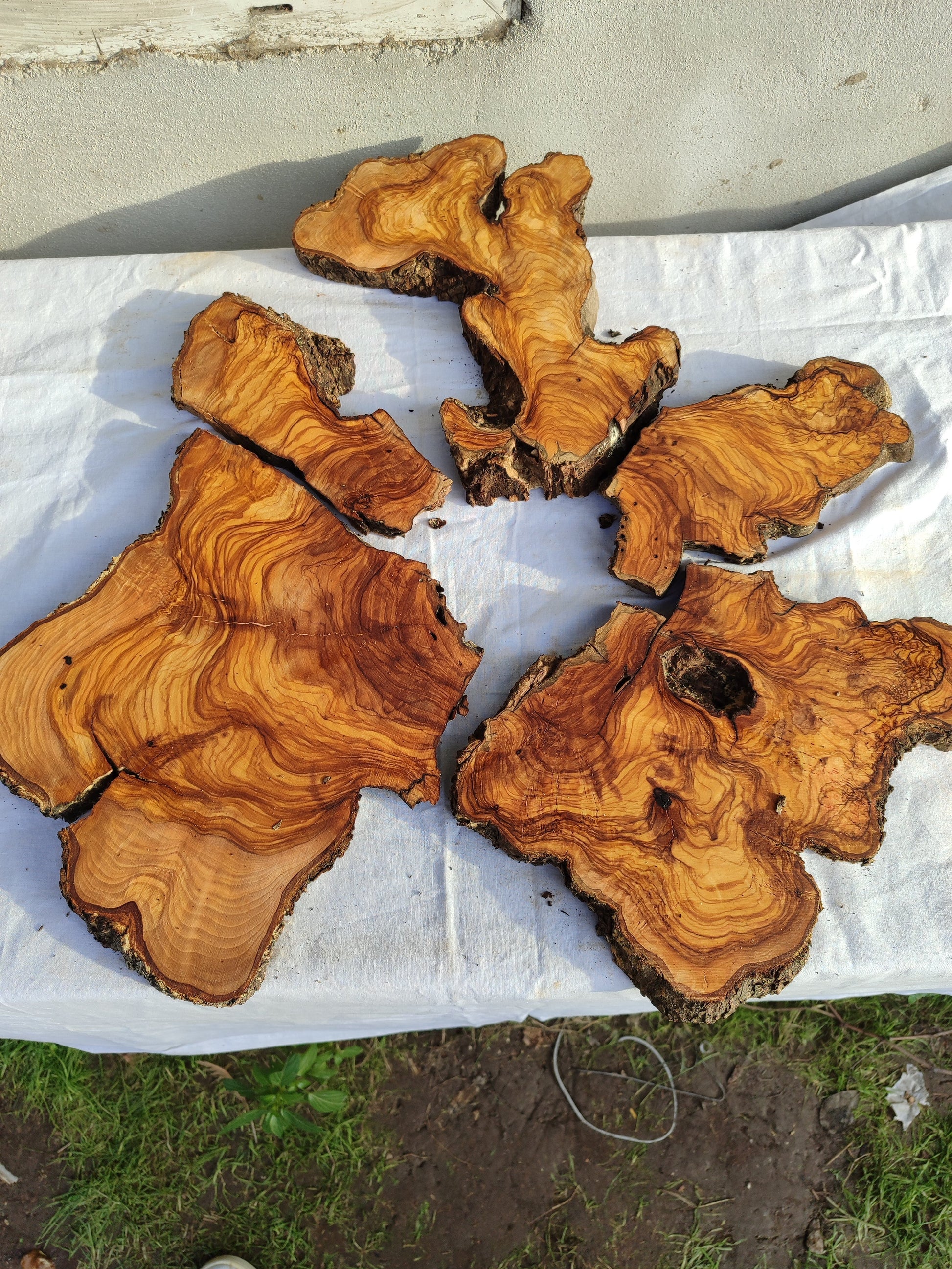 Rare Olive Wood Slab 23"x23" | Live Edge Epoxy Table Top | Premium Luthier Wood | Dry Exotic Lumber | Unique Grain DIY Art 58x59cm.