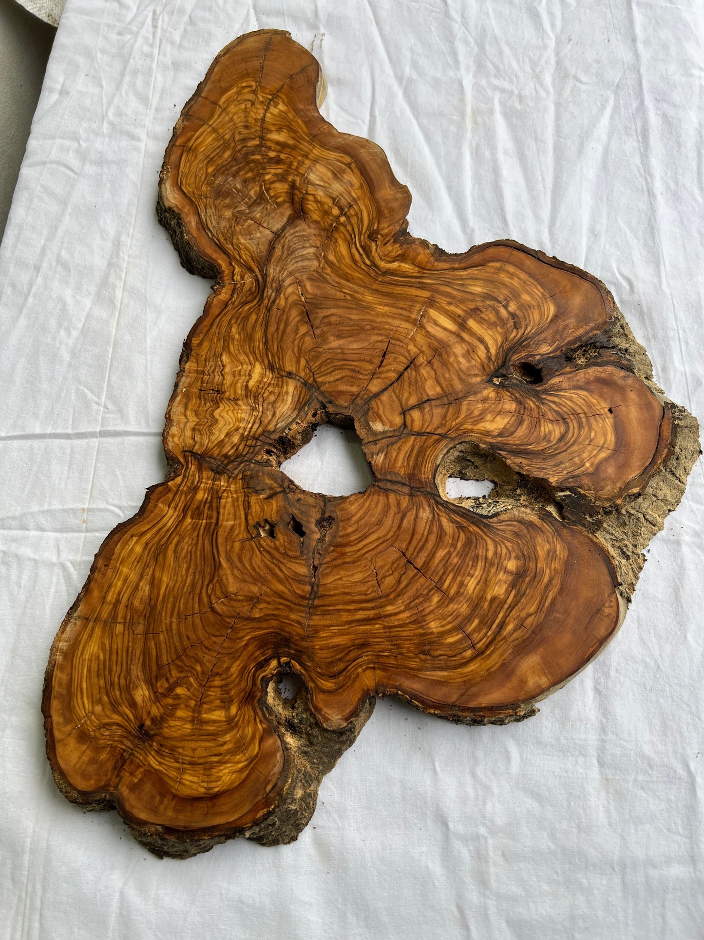 Rare Olive Wood Slab 53x30cm Live Edge for Epoxy Resin Art, Luxury Coffee Table & Clock Making | Super Dry 3% Moisture Unique Grain DIY.