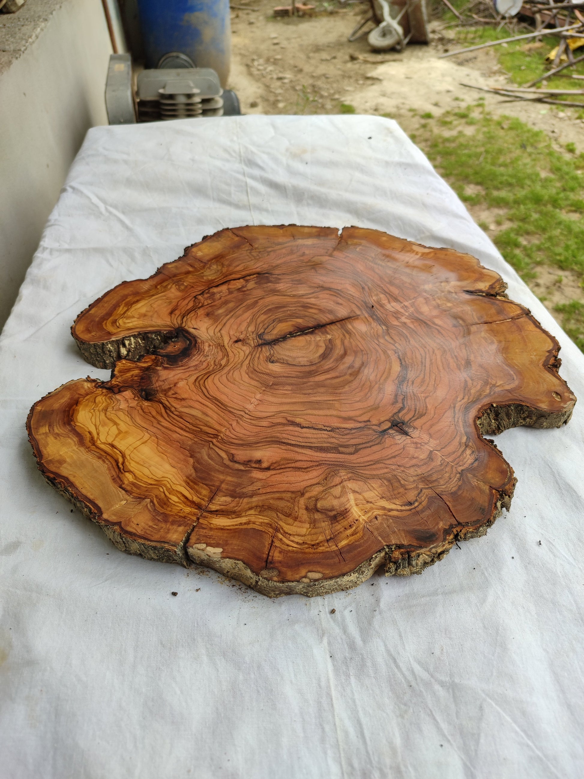 Rare Olive Wood Slab – Live Edge Unique Grain Sustainable Luxury – 40x42x2.5cm Premium Natural Luster - Olive Generic