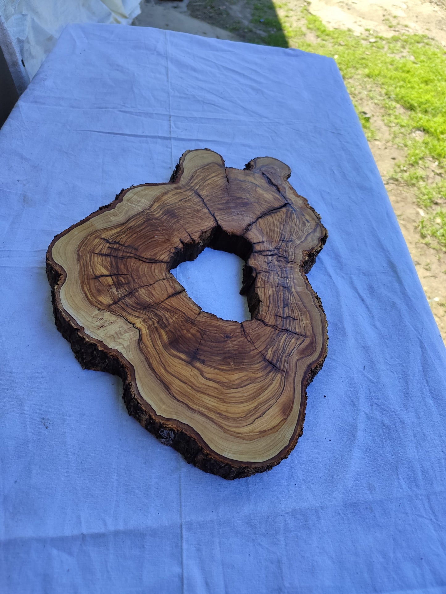 Rare Olive Wood Live Edge Slab 25x39cm - Unique Grain Epoxy Resin Wood for Clock & Guitar Body - Sustainable Luxury &