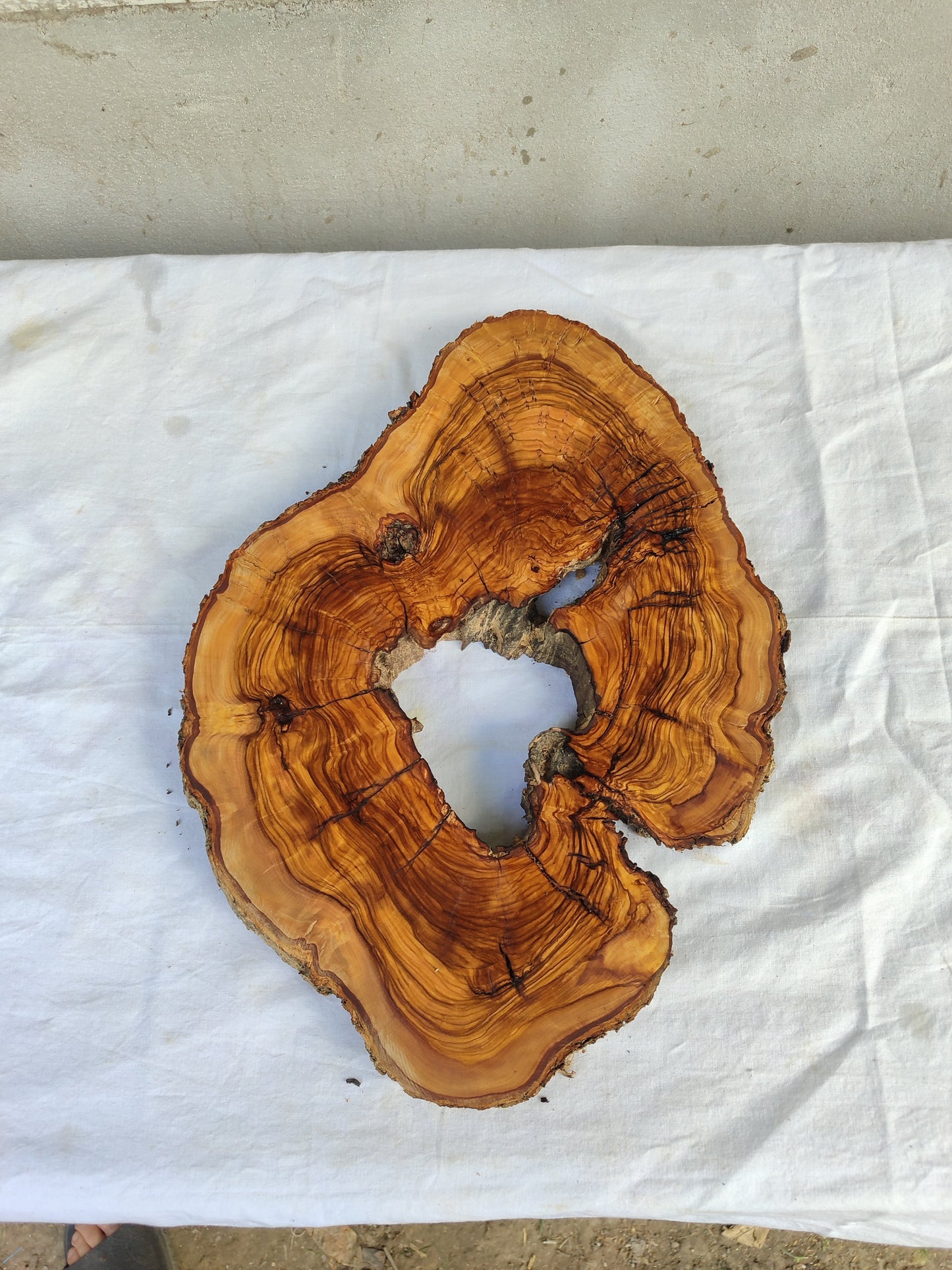 Rare Olive Wood Live Edge Slab – Premium Sustainable Luxury Unique Grain 29x39x3 cm - Olive Generic