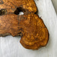 Rare Olive Wood Slab 28x52cm | Dry Live Edge Burl for Resin Art, Clock & Luthier | Unique Grain Sustainable Luxury Woodworking Material.