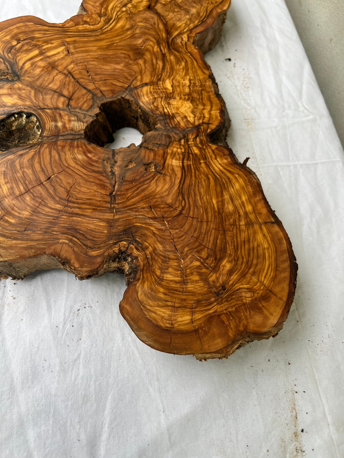 Rare Olive Wood Slab 28x52cm | Dry Live Edge Burl for Resin Art, Clock & Luthier | Unique Grain Sustainable Luxury Woodworking Material.