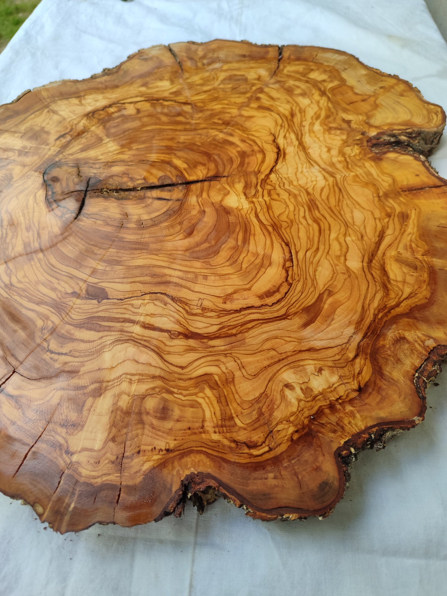 Rare Olive Wood Live Edge Slab – 40x44x3 cm Unique Grain Sustainable Luxury for Epoxy Table Clock & Crafts - Olive