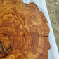 Rare Olive Wood Live Edge Slab – 40x44x2.5cm Unique Grain Sustainable Luxury - Olive Generic