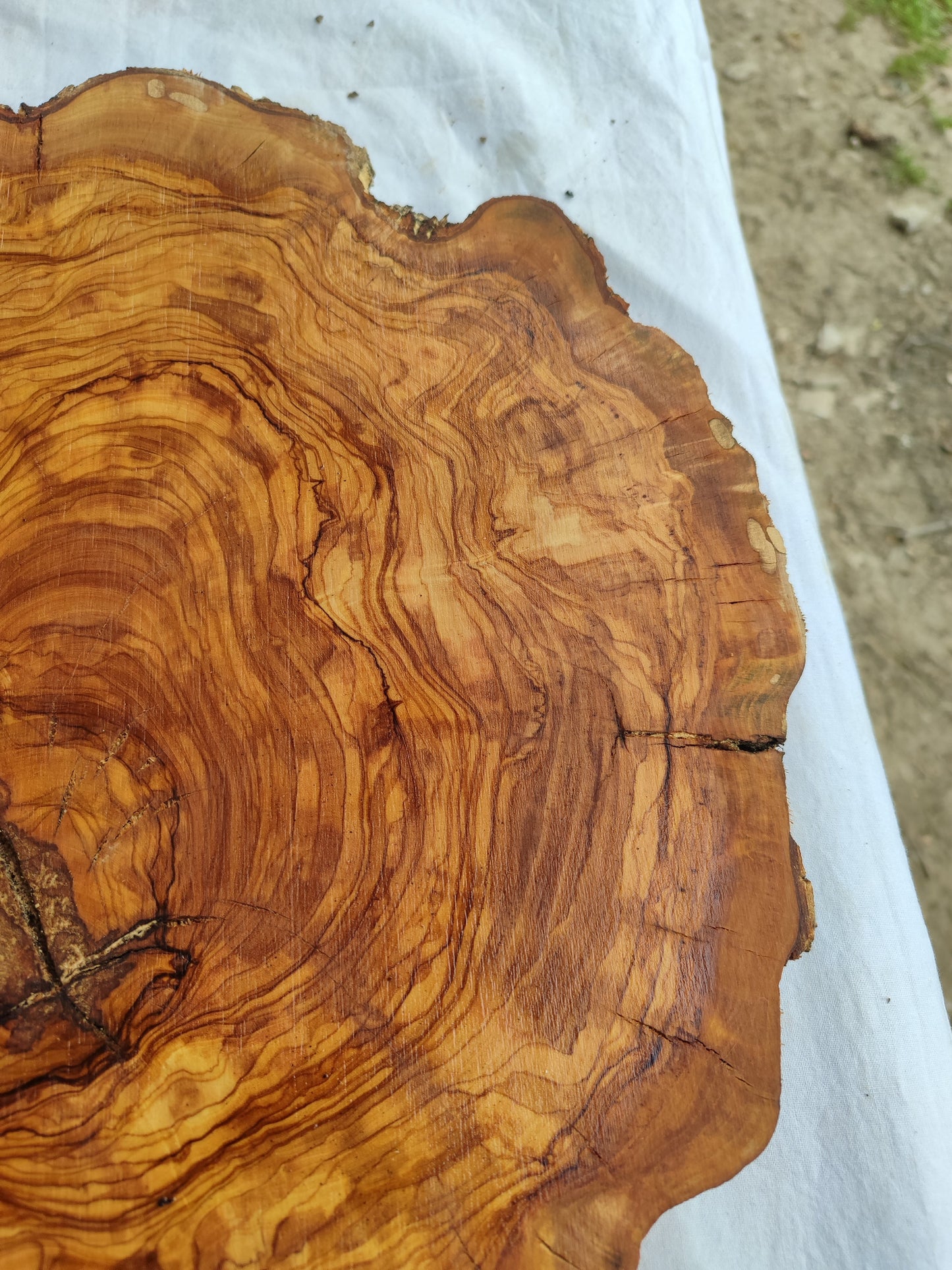 Rare Olive Wood Live Edge Slab – 40x44x2.5cm Unique Grain Sustainable Luxury - Olive Generic