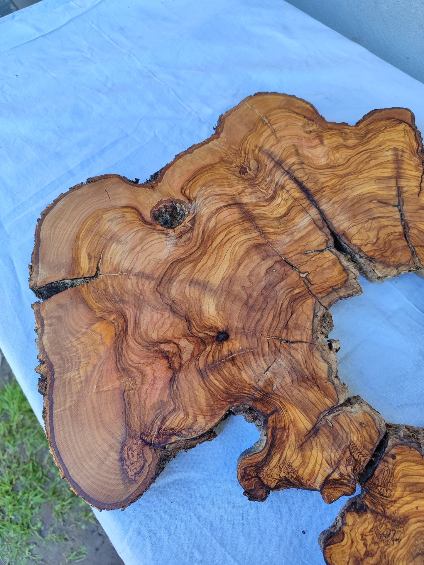 Rare Olive Wood Slab 51x51cm | Live Edge for Epoxy Resin & Coffee Table.