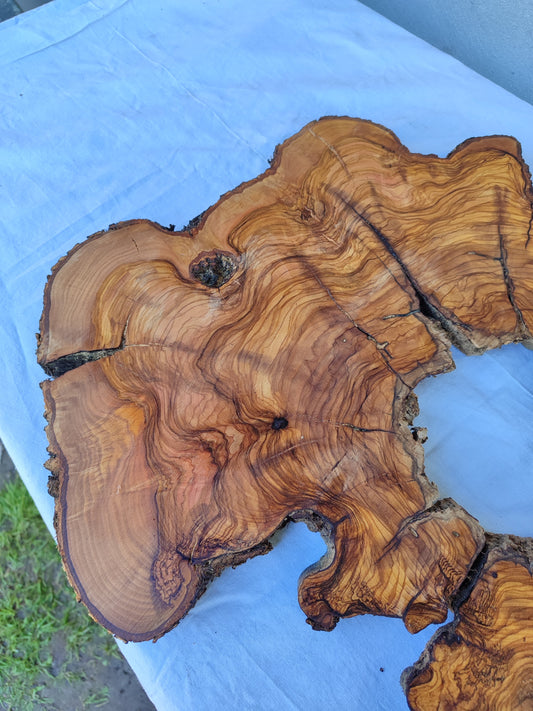 Rare Olive Wood Slab 51x51cm | Live Edge for Epoxy Resin & Coffee Table.